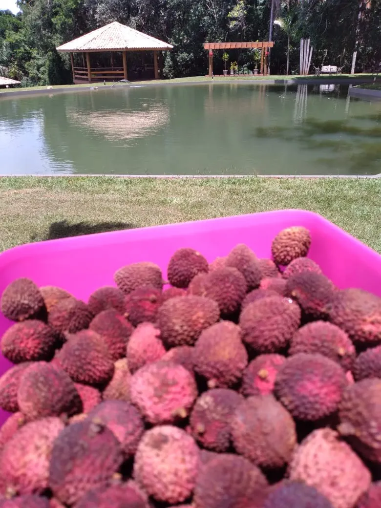 Sítio à venda de 8 ha em Itaí, SP, Brasil