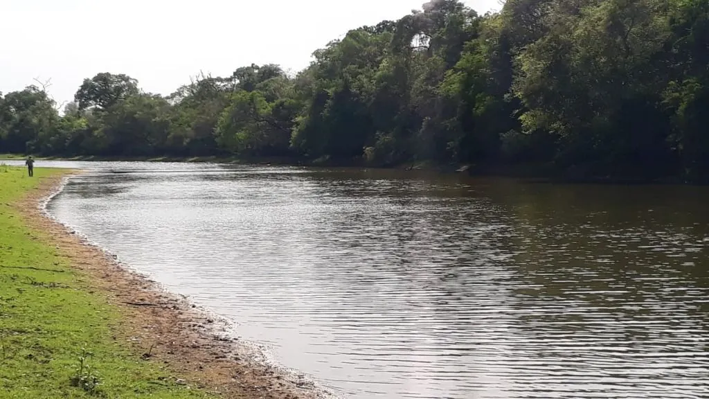 Fazenda à venda de 960 ha em Poconé, MT, Brasil