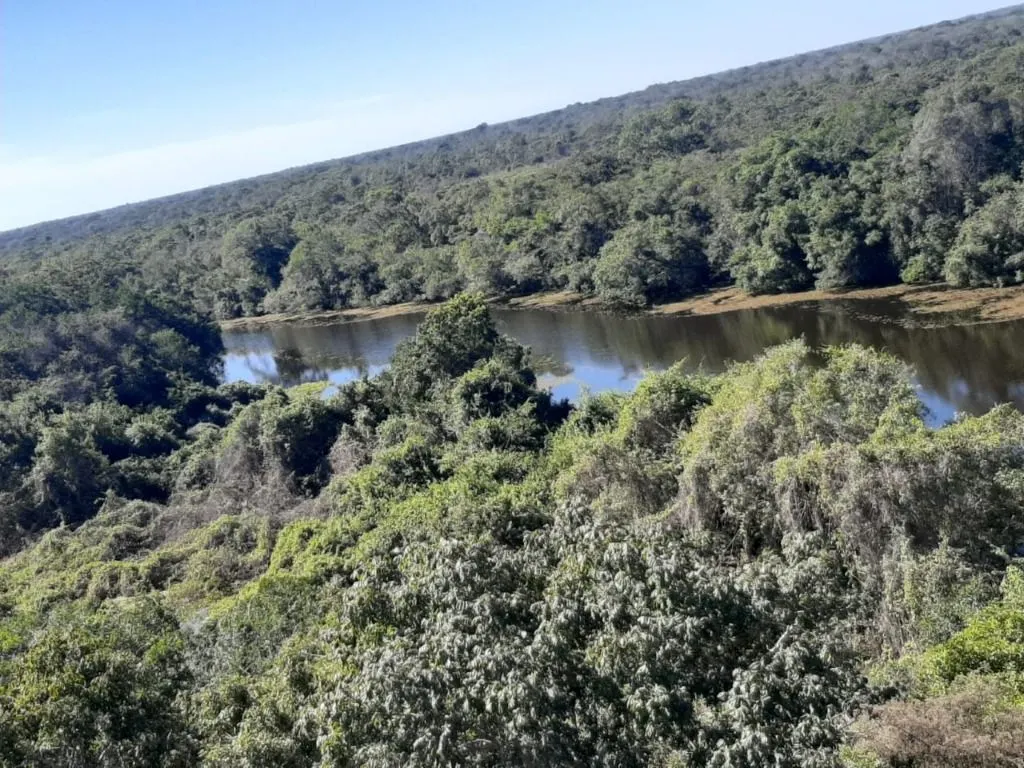 Fazenda à venda de 960 ha em Poconé, MT, Brasil