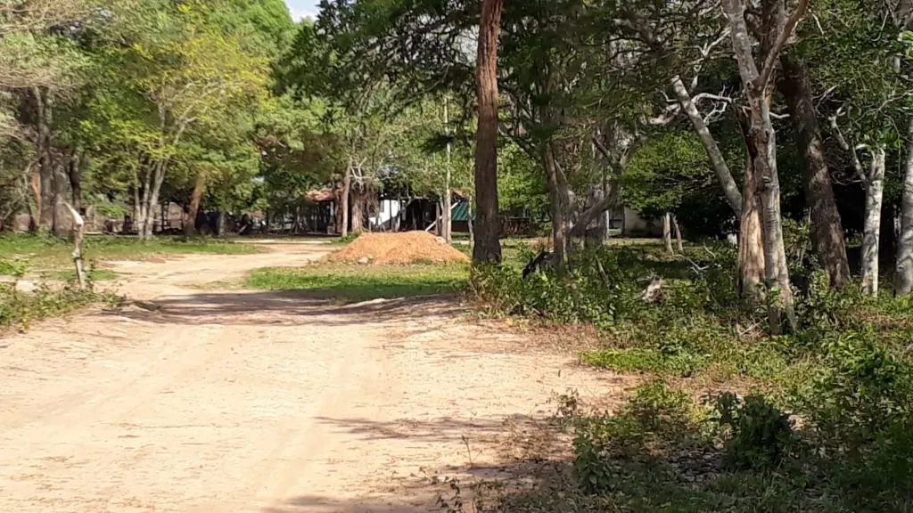 Fazenda à venda de 960 ha em Poconé, MT, Brasil