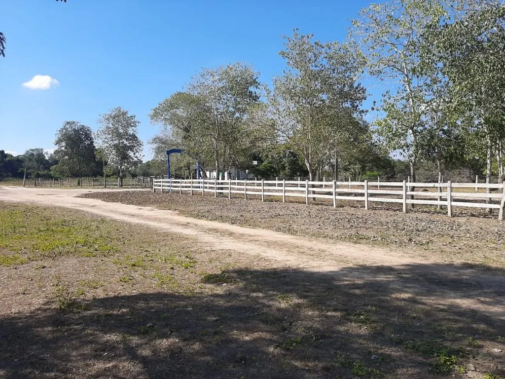 Fazenda à venda de 960 ha em Poconé, MT, Brasil
