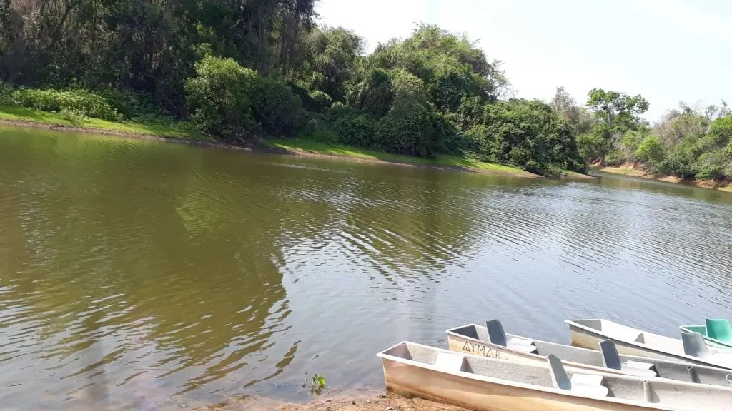 Fazenda à venda de 960 ha em Poconé, MT, Brasil