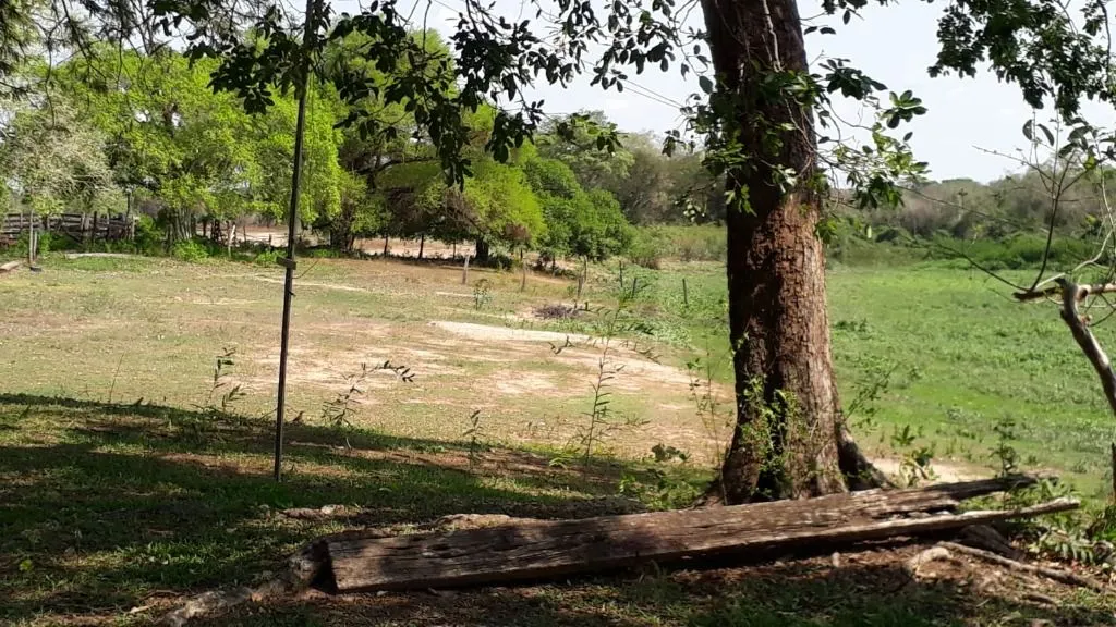 Fazenda à venda de 960 ha em Poconé, MT, Brasil