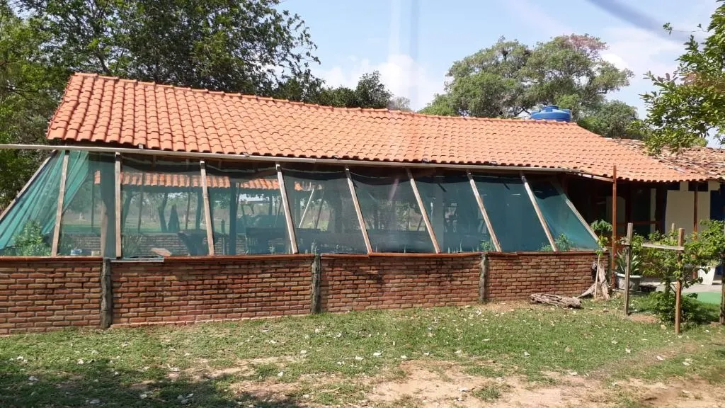 Fazenda à venda de 960 ha em Poconé, MT, Brasil
