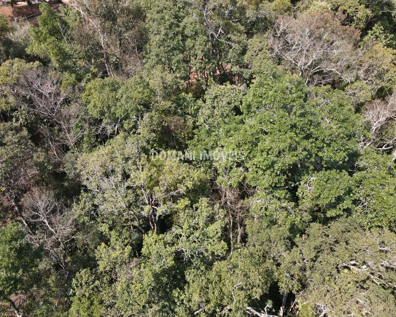 Terreno à venda de 5.030 m² em Campos do Jordão, SP, Brasil