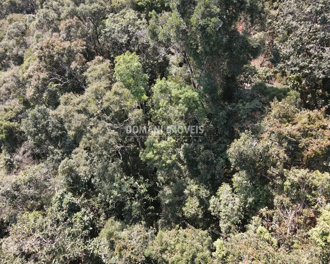 Terreno à venda de 5.030 m² em Campos do Jordão, SP, Brasil
