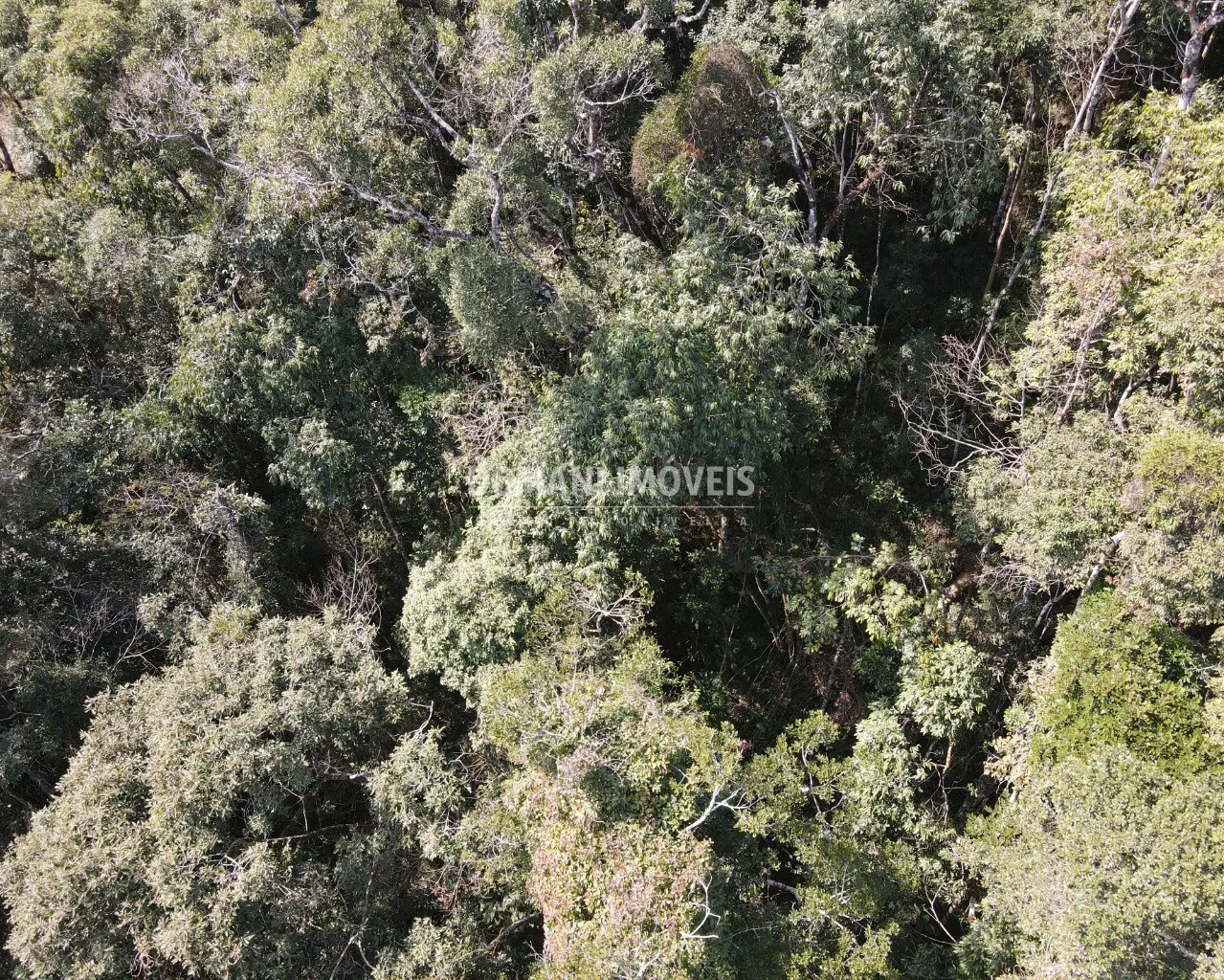 Terreno à venda de 5.030 m² em Campos do Jordão, SP, Brasil