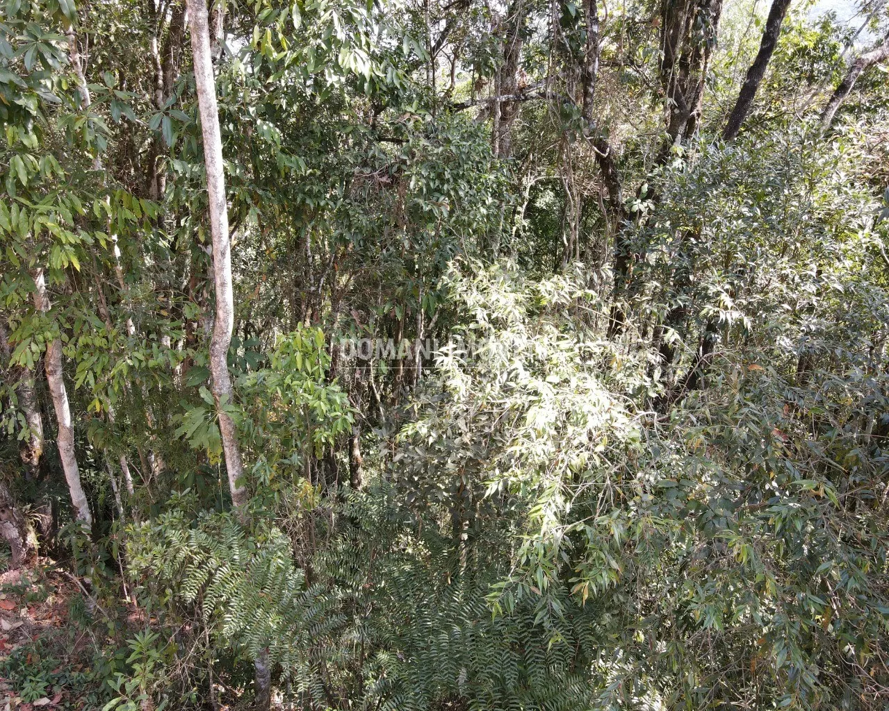 Terreno à venda de 5.030 m² em Campos do Jordão, SP, Brasil