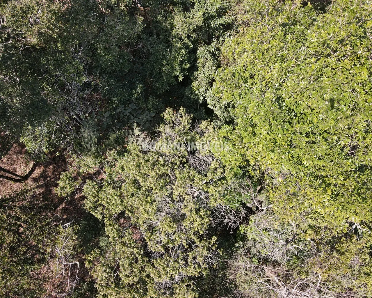 Terreno à venda de 5.030 m² em Campos do Jordão, SP, Brasil