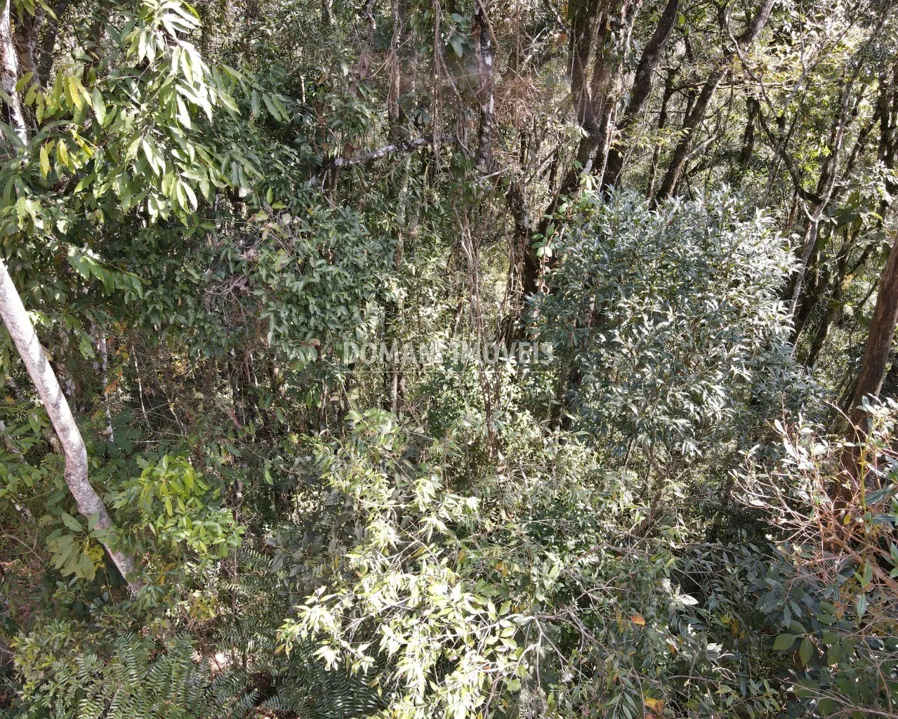 Terreno à venda de 5.030 m² em Campos do Jordão, SP, Brasil