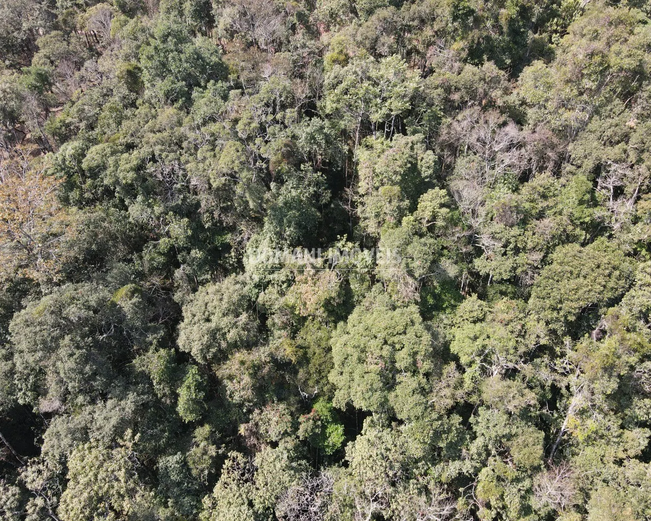 Terreno à venda de 5.030 m² em Campos do Jordão, SP, Brasil