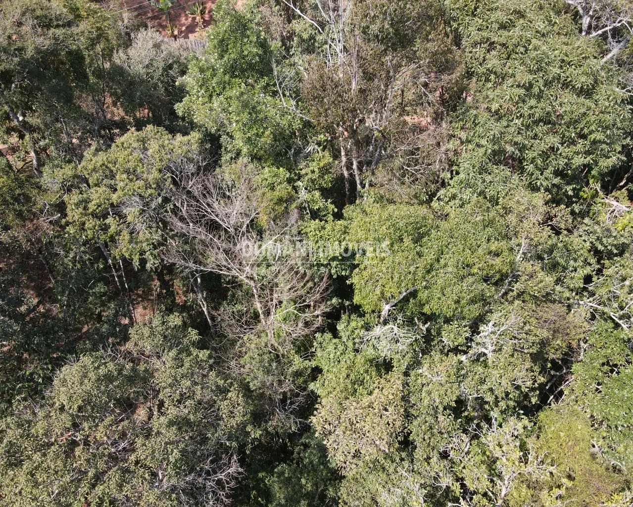 Terreno à venda de 5.030 m² em Campos do Jordão, SP, Brasil