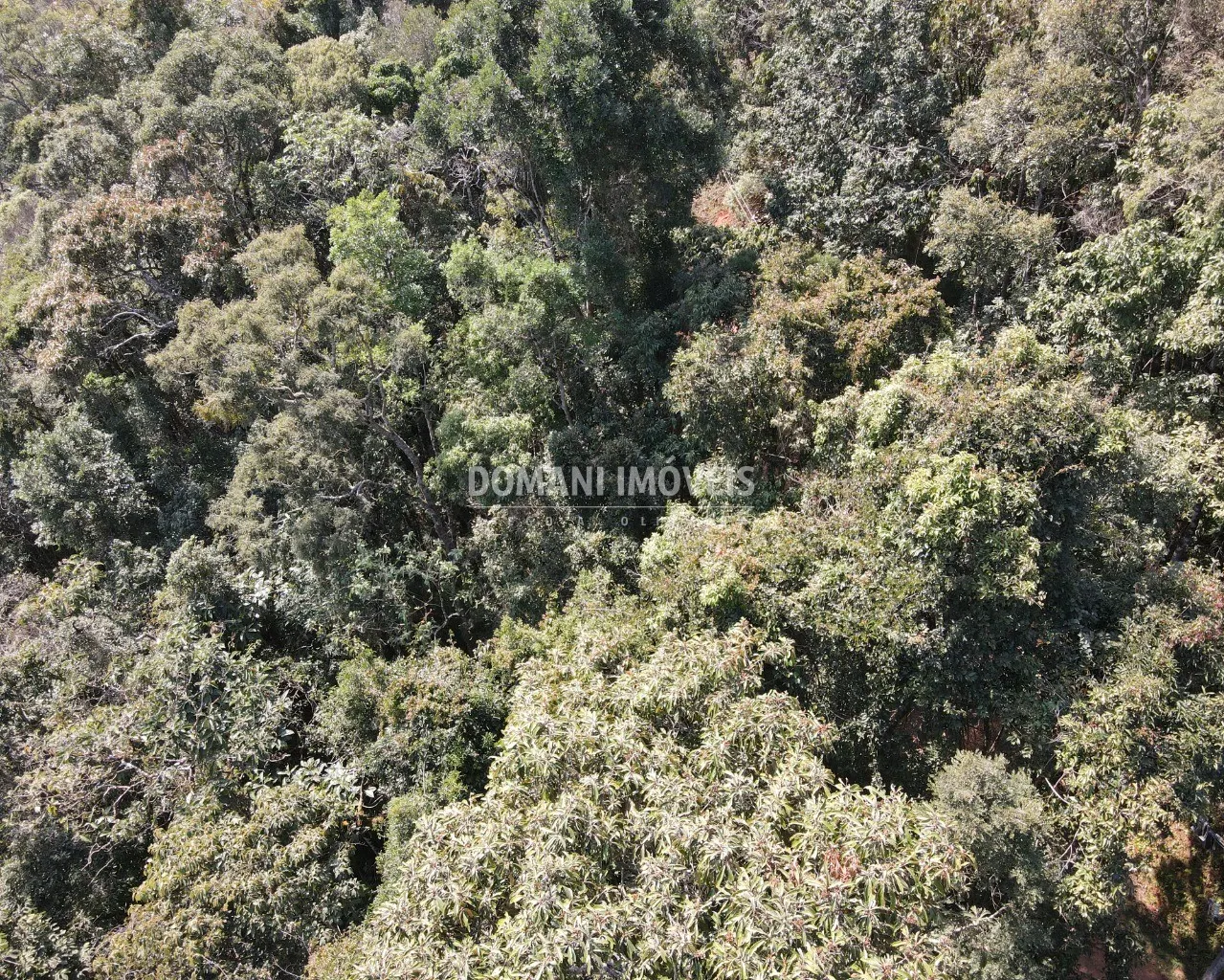 Terreno à venda de 5.030 m² em Campos do Jordão, SP, Brasil
