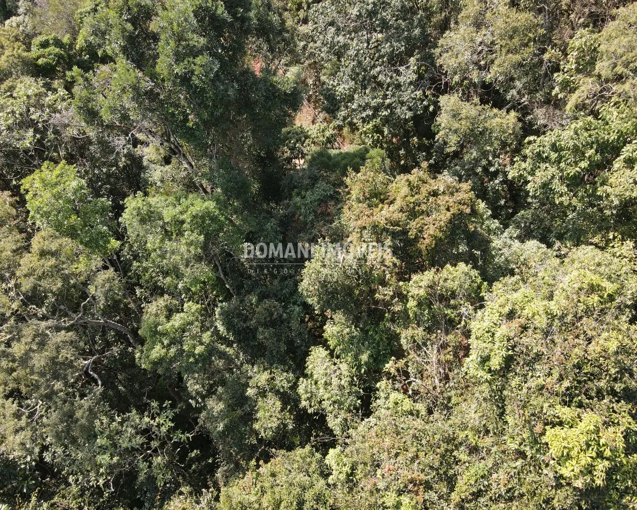 Terreno à venda de 5.030 m² em Campos do Jordão, SP, Brasil