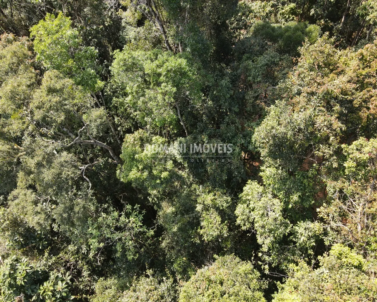 Terreno à venda de 5.030 m² em Campos do Jordão, SP, Brasil