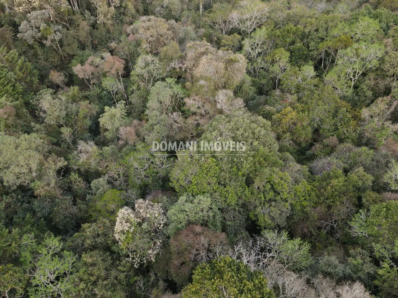 Terreno à venda de 3.500 m² em Campos do Jordão, SP, Brasil