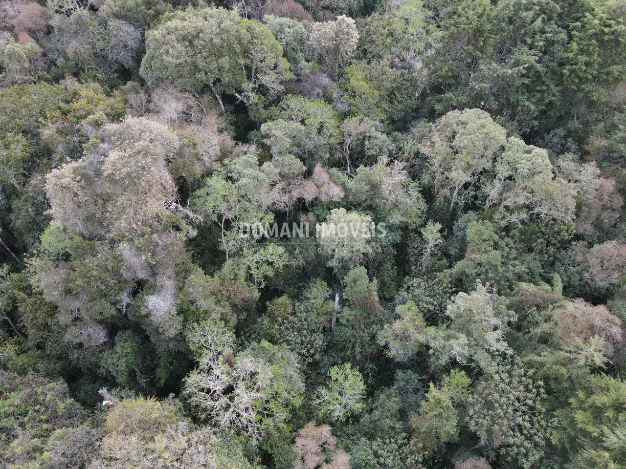 Terreno à venda de 3.500 m² em Campos do Jordão, SP, Brasil