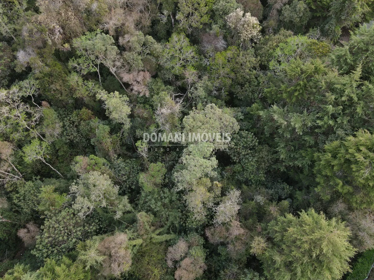 Terreno à venda de 3.500 m² em Campos do Jordão, SP, Brasil