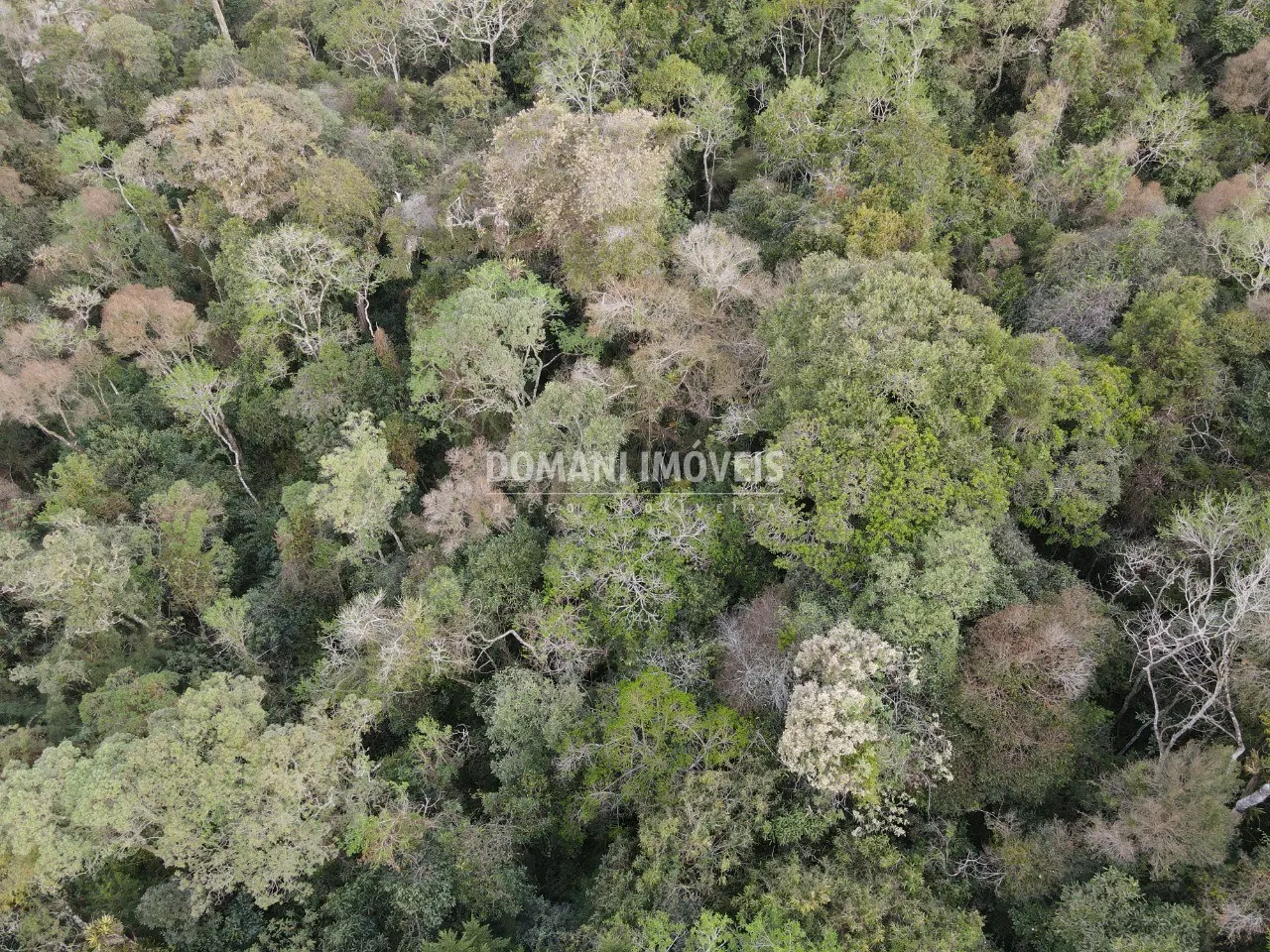 Terreno à venda de 3.500 m² em Campos do Jordão, SP, Brasil
