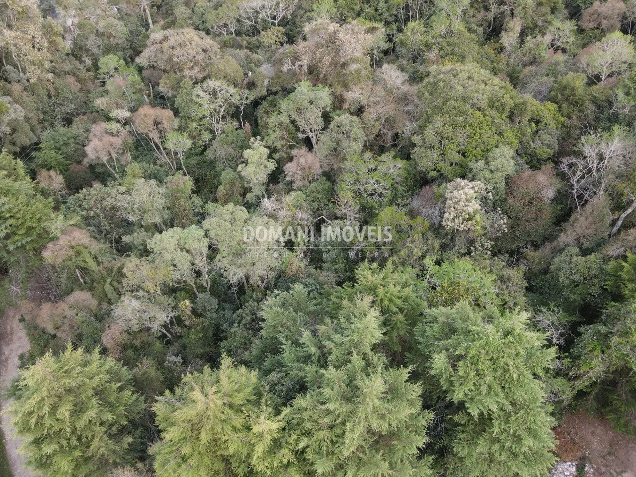 Terreno à venda de 3.500 m² em Campos do Jordão, SP, Brasil