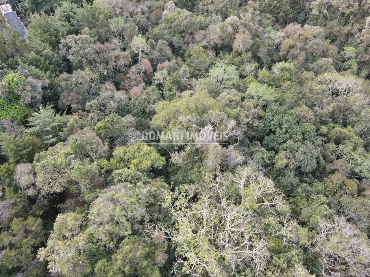 Terreno à venda de 3.500 m² em Campos do Jordão, SP, Brasil