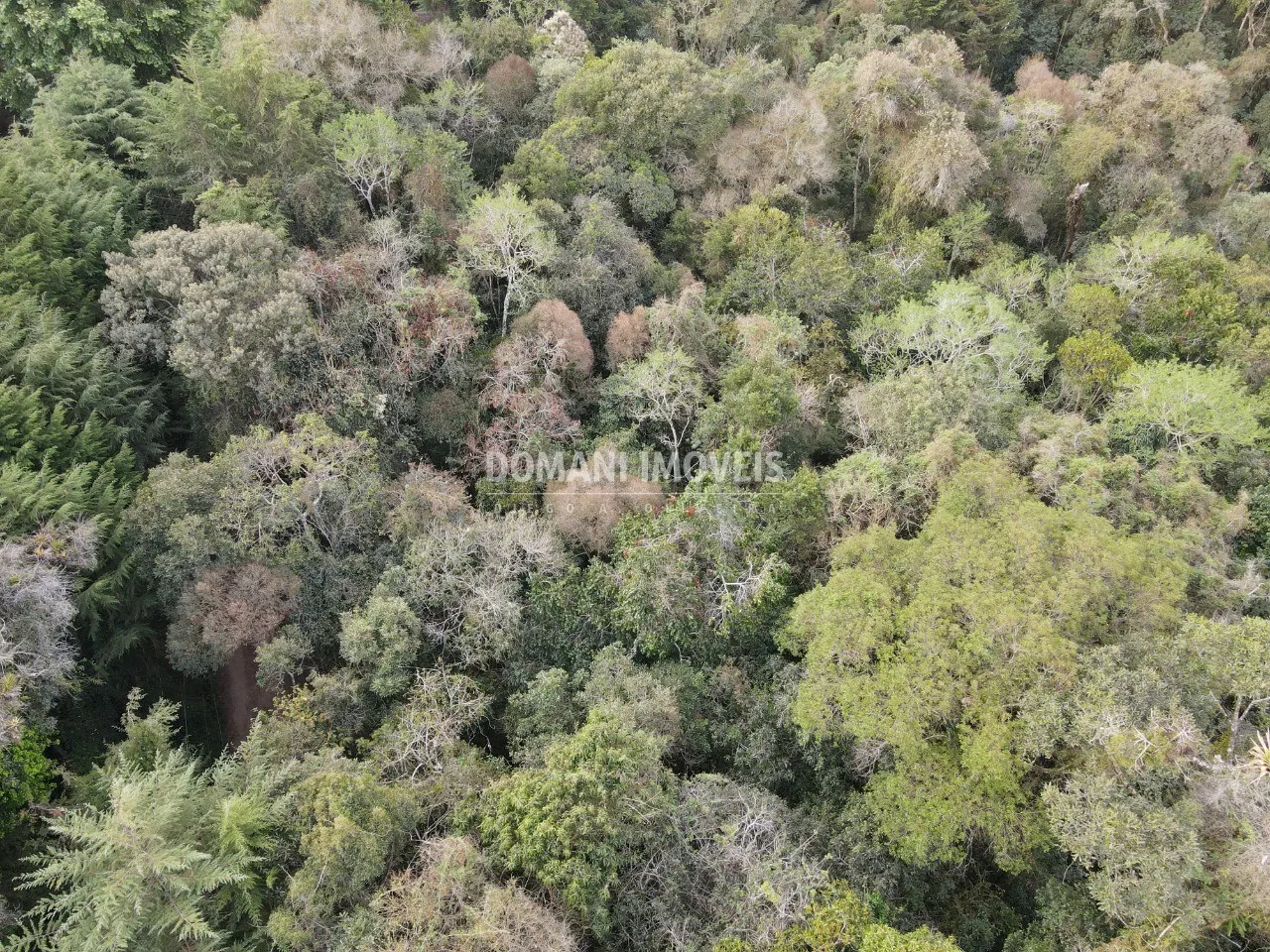 Terreno à venda de 3.500 m² em Campos do Jordão, SP, Brasil