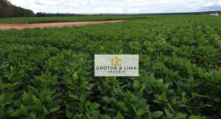 Fazenda à venda de 4.000 ha em Alto Araguaia, MT, Brasil