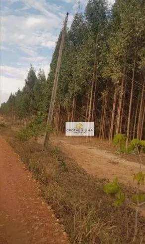 Fazenda à venda de 4.000 ha em Alto Araguaia, MT, Brasil