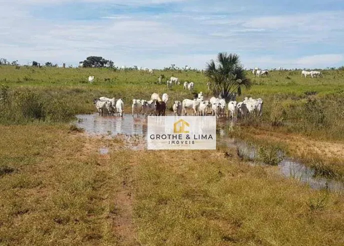 Fazenda à venda de 4.000 ha em Alto Araguaia, MT, Brasil