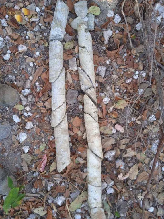 Fazenda à venda de 1.524 ha em Porto Esperidião, MT, Brasil