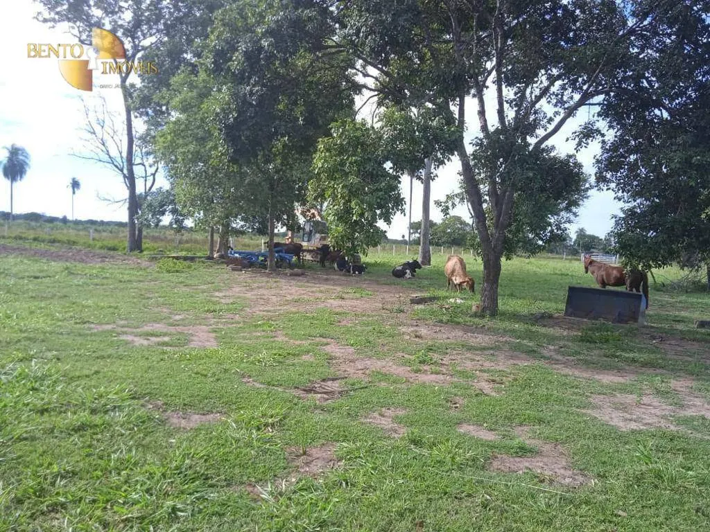 Fazenda à venda de 1.524 ha em Porto Esperidião, MT, Brasil