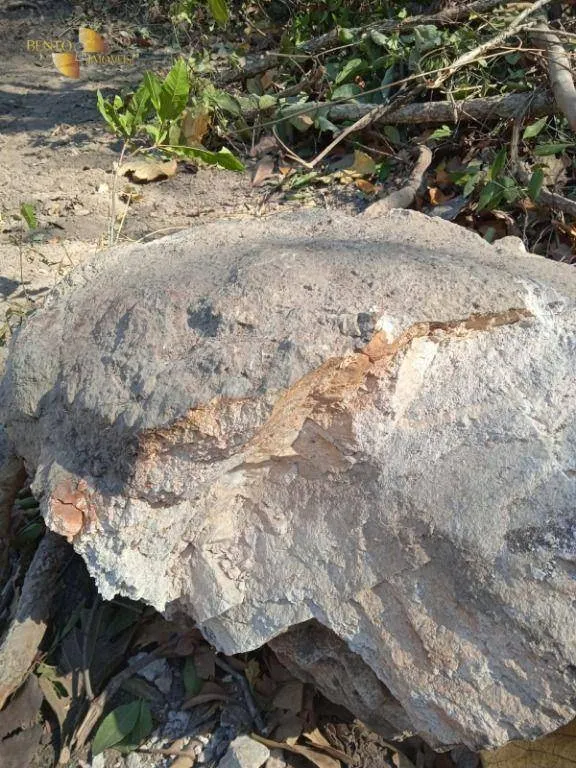 Fazenda à venda de 1.524 ha em Porto Esperidião, MT, Brasil