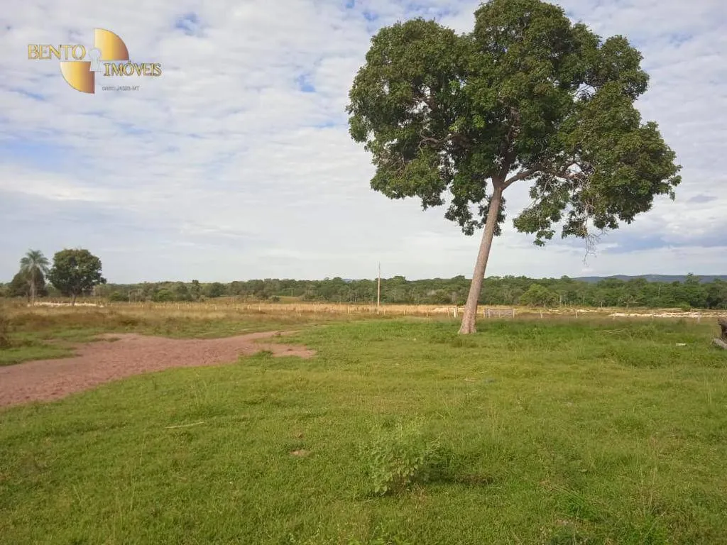 Fazenda à venda de 1.524 ha em Porto Esperidião, MT, Brasil