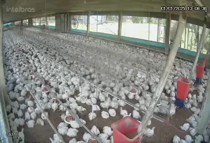 Sítio à venda de 5 ha em São Pedro, SP, Brasil