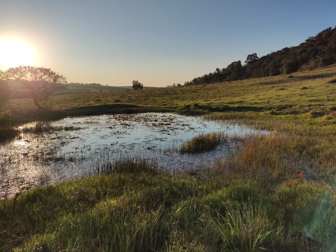 Fazenda à venda de 43 ha em São Miguel Arcanjo, SP, Brasil