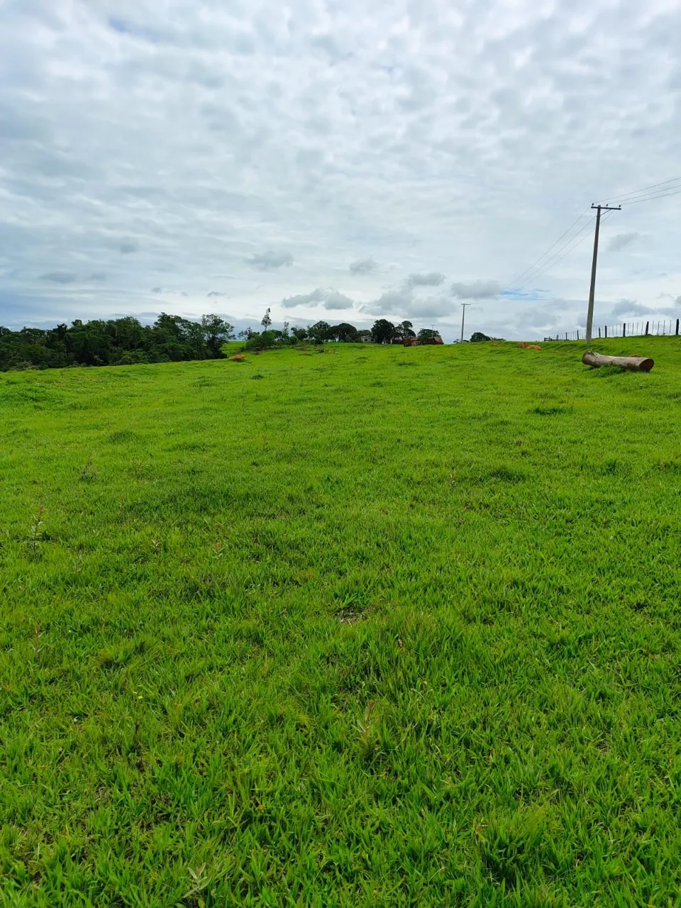 Fazenda à venda de 43 ha em São Miguel Arcanjo, SP, Brasil