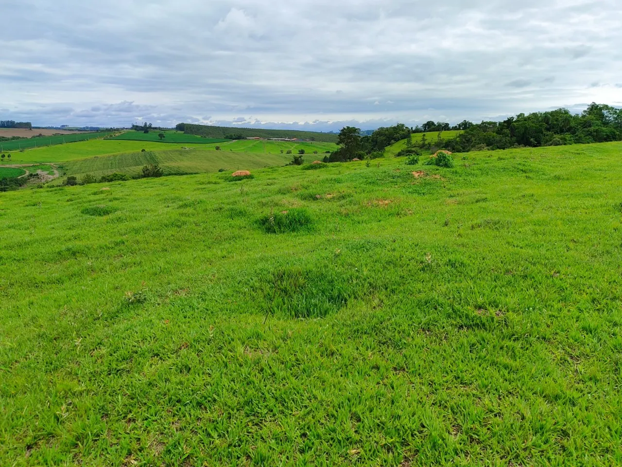 Fazenda à venda de 43 ha em São Miguel Arcanjo, SP, Brasil