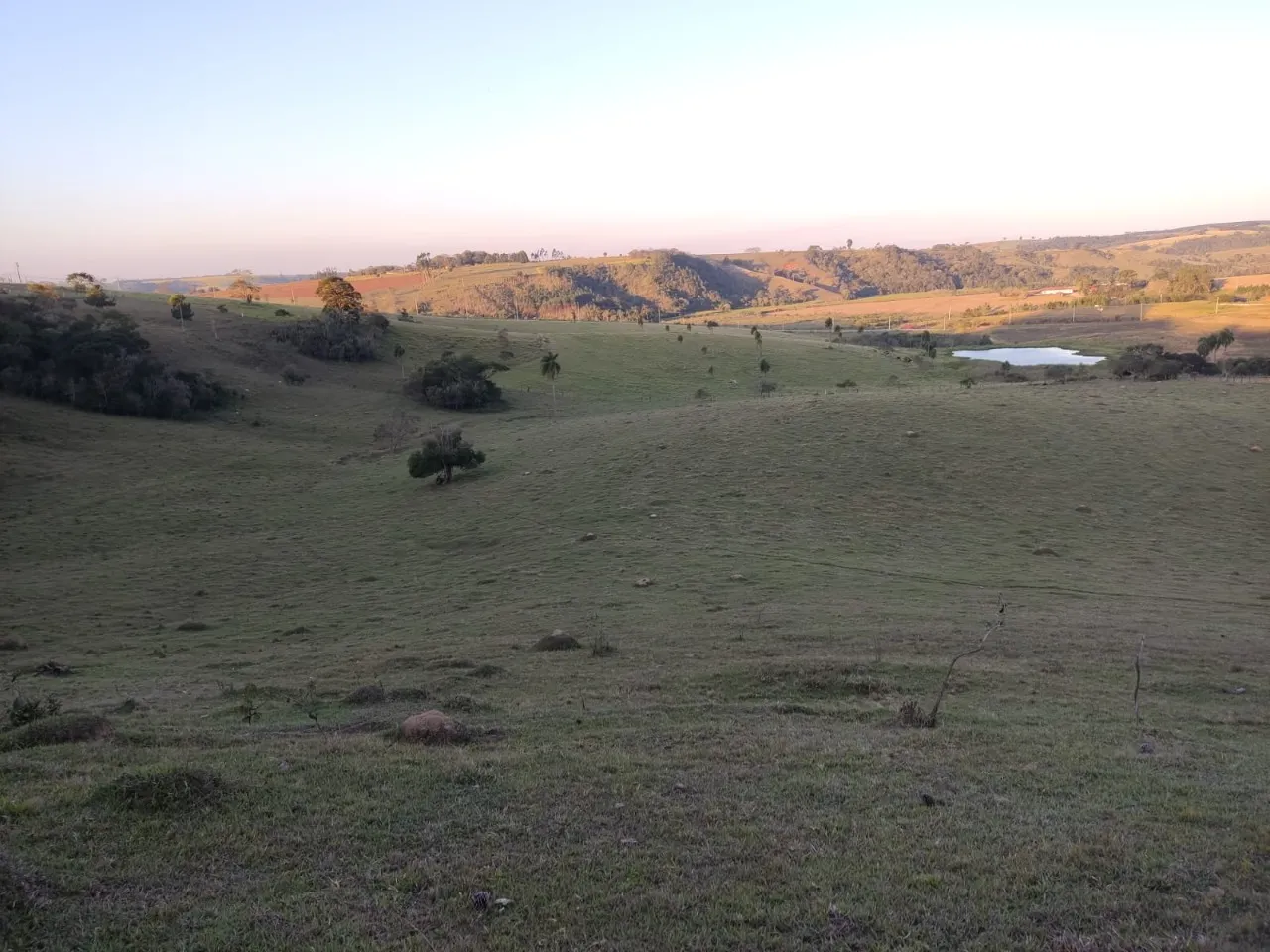 Fazenda à venda de 43 ha em São Miguel Arcanjo, SP, Brasil