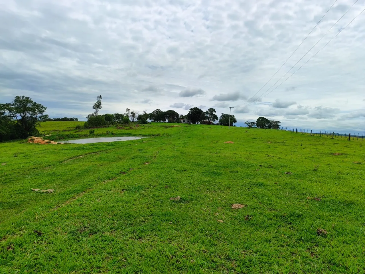 Fazenda à venda de 43 ha em São Miguel Arcanjo, SP, Brasil