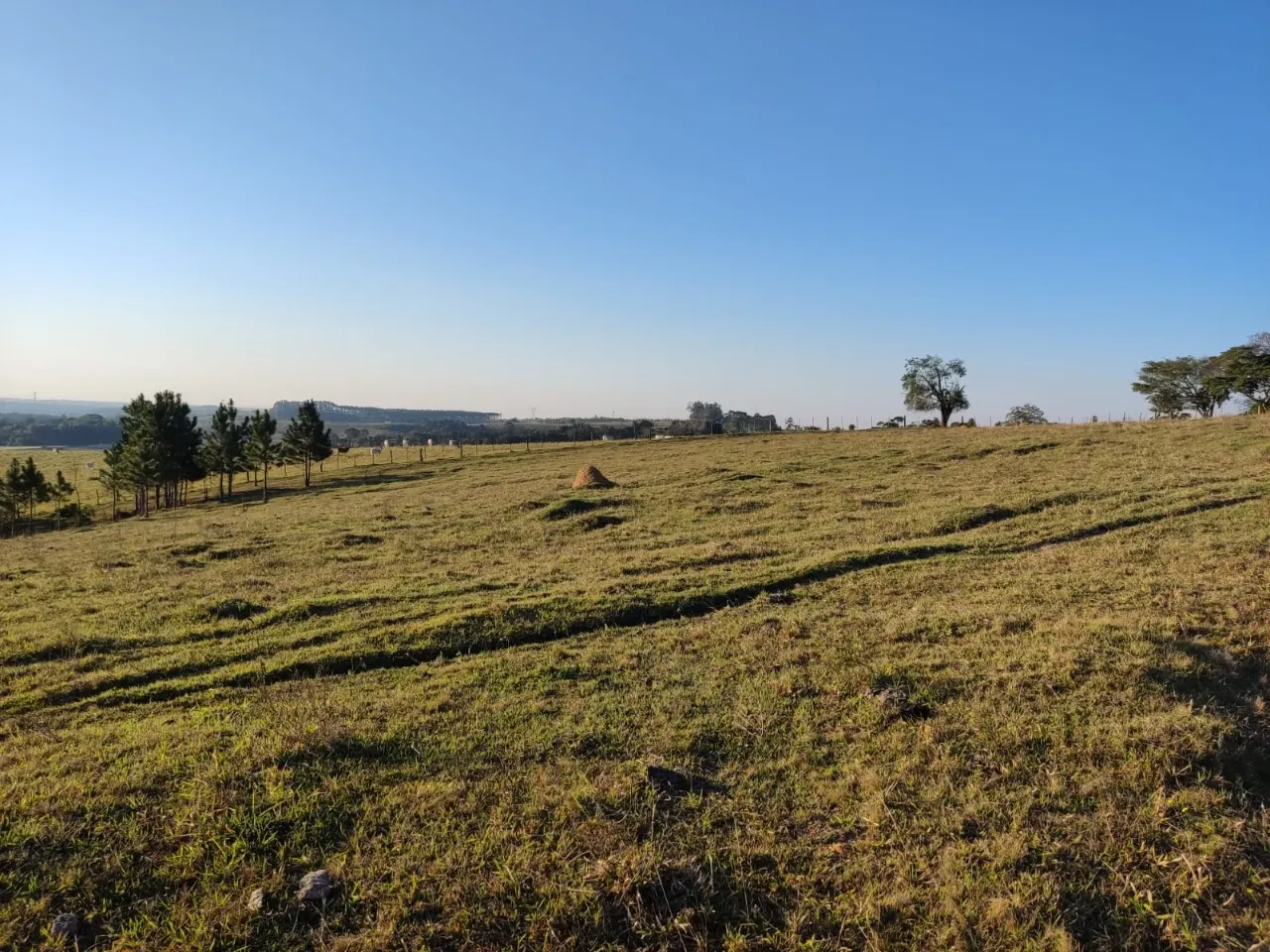 Fazenda à venda de 43 ha em São Miguel Arcanjo, SP, Brasil