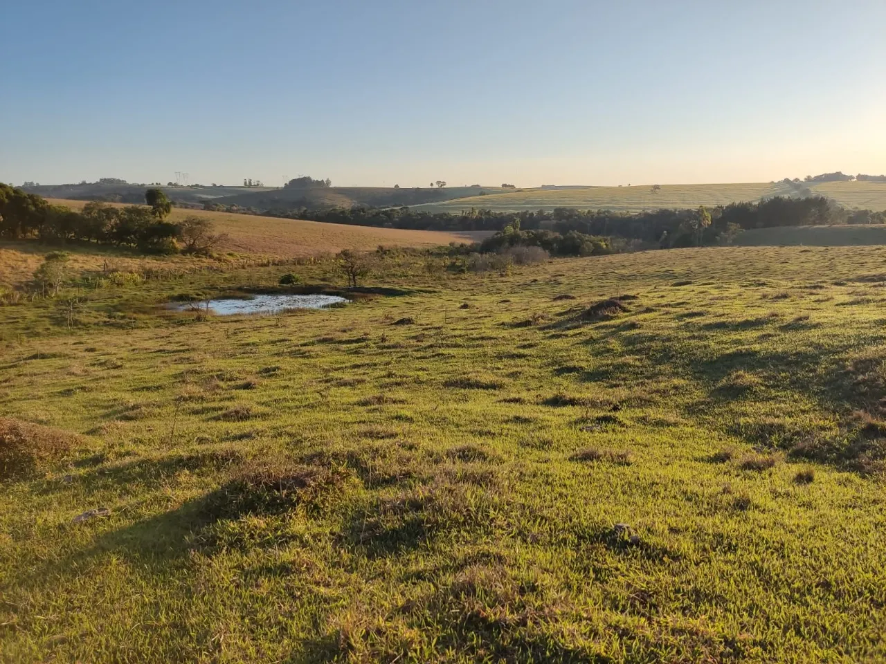 Fazenda à venda de 43 ha em São Miguel Arcanjo, SP, Brasil