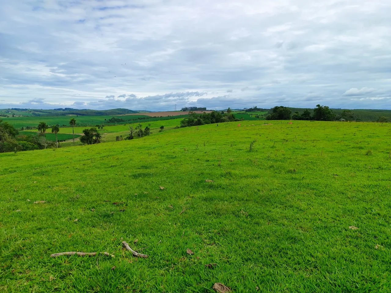 Fazenda à venda de 43 ha em São Miguel Arcanjo, SP, Brasil