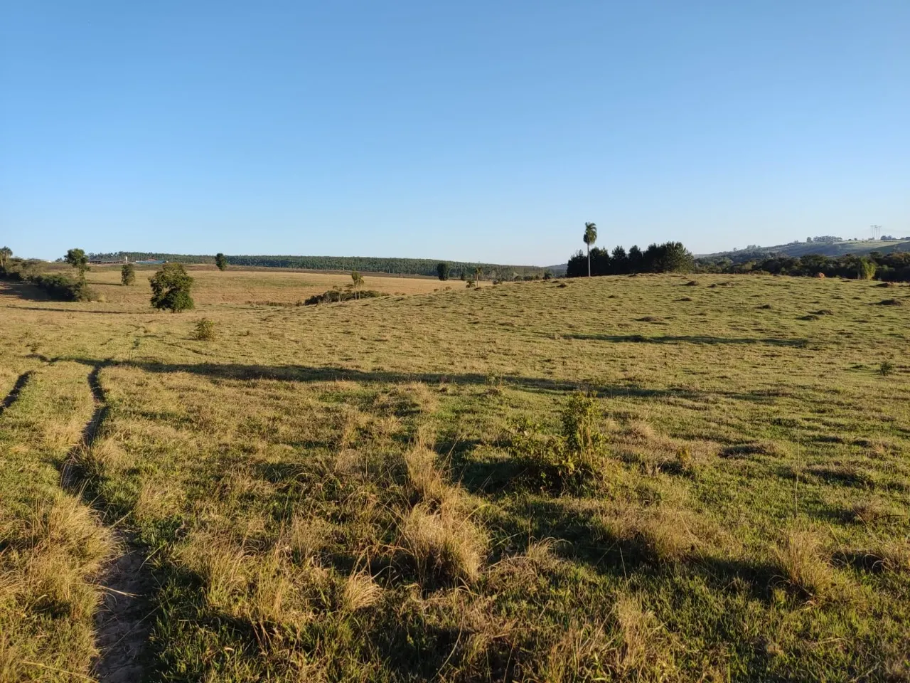 Fazenda à venda de 43 ha em São Miguel Arcanjo, SP, Brasil