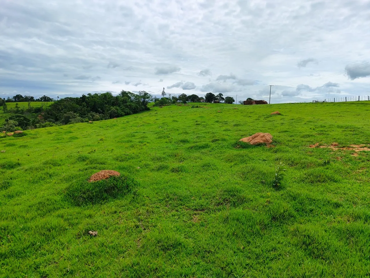 Fazenda à venda de 43 ha em São Miguel Arcanjo, SP, Brasil