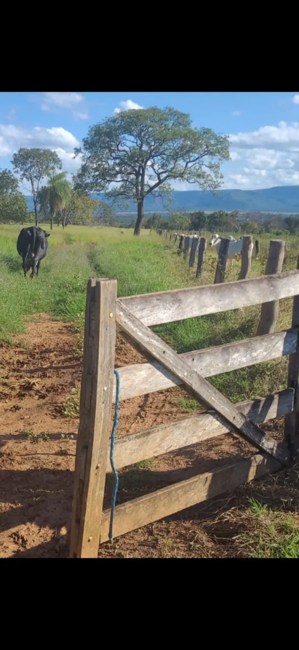 Fazenda à venda de 106 ha em Formosa, GO, Brasil