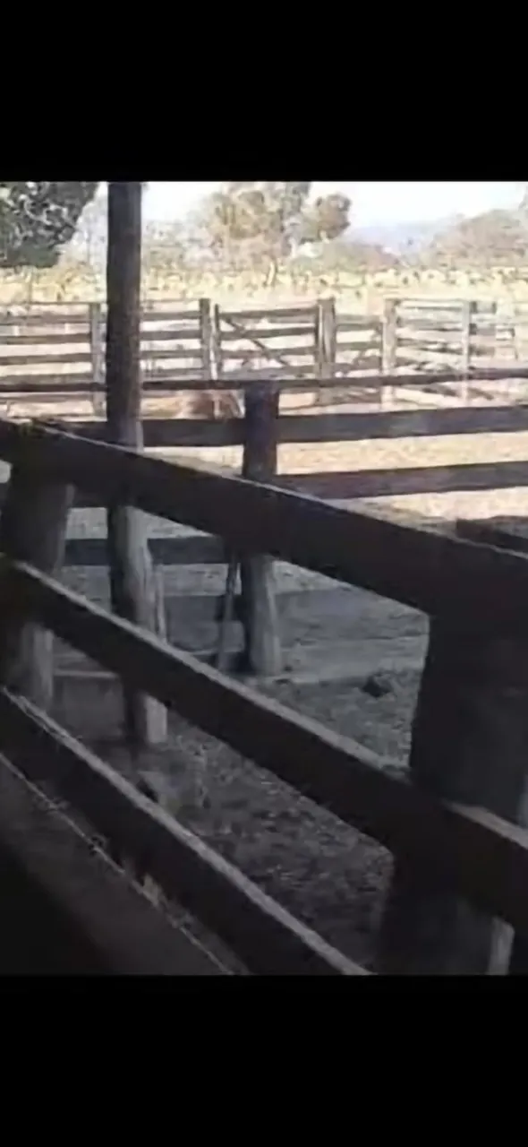 Fazenda à venda de 106 ha em Formosa, GO, Brasil