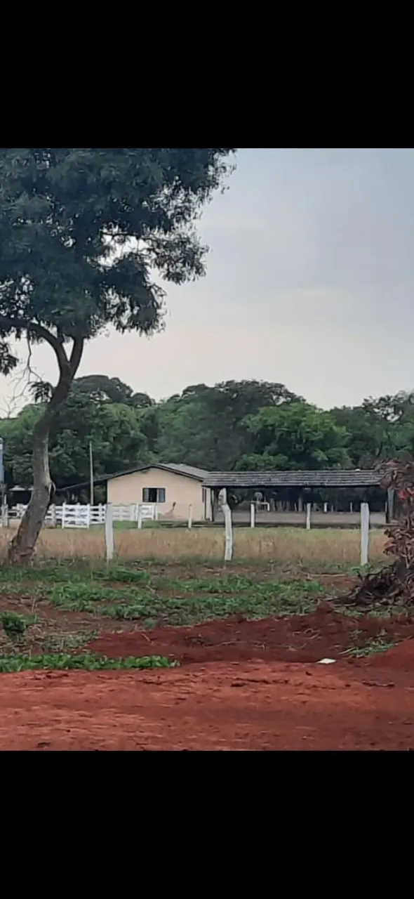 Fazenda à venda de 106 ha em Formosa, GO, Brasil