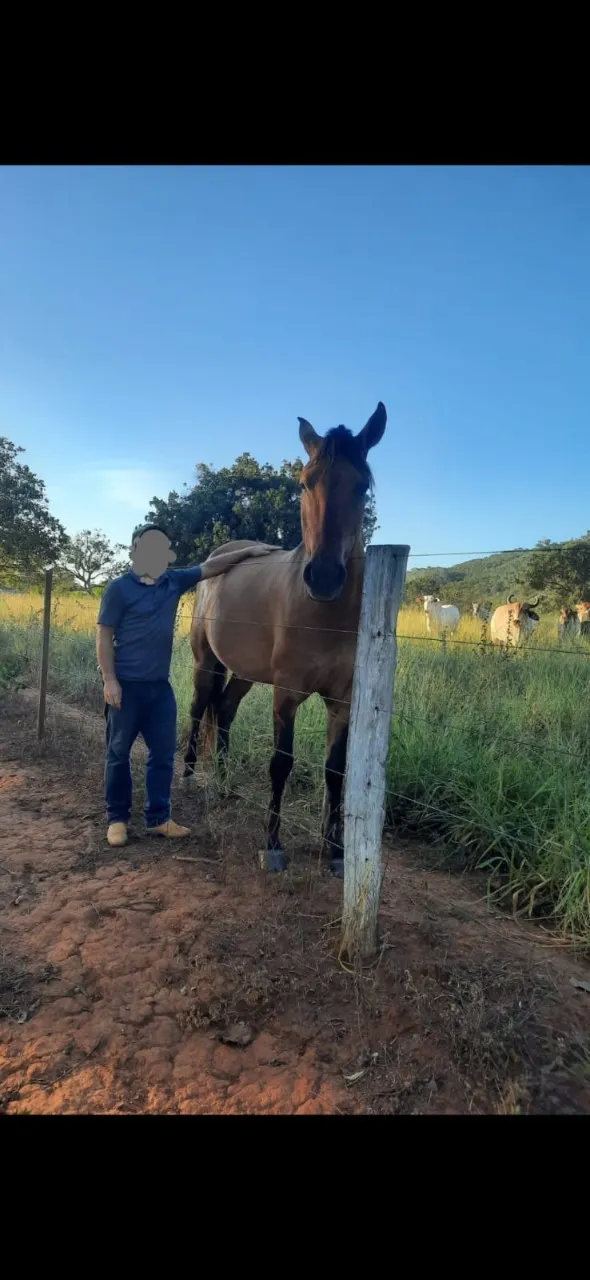 Fazenda à venda de 106 ha em Formosa, GO, Brasil