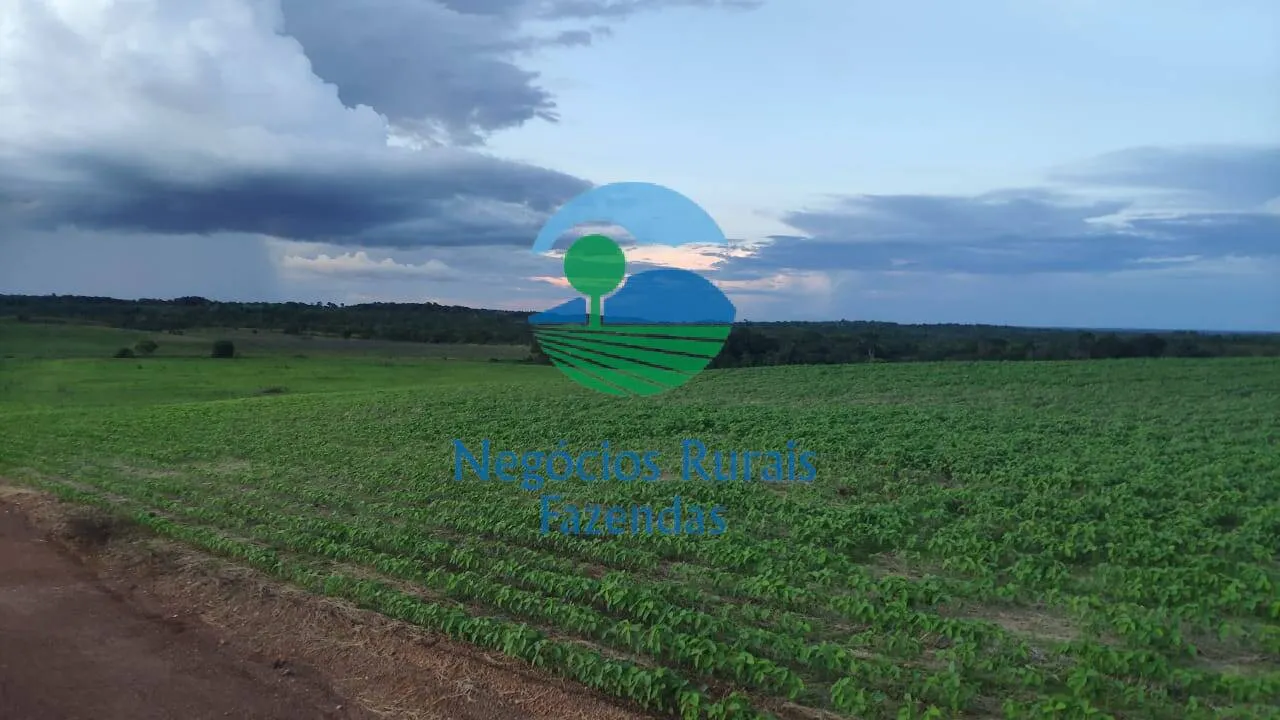 Fazenda à venda de 1.108 ha em Dois Irmãos do Tocantins, TO, Brasil