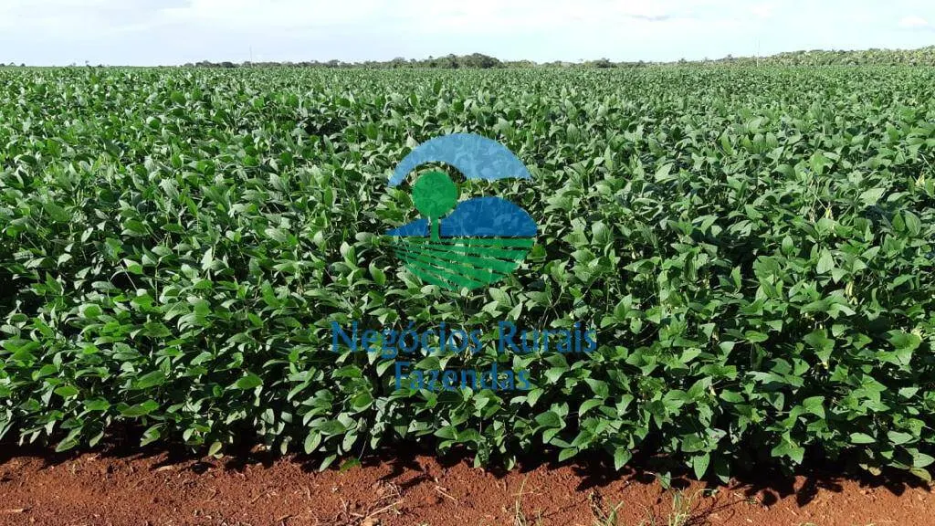 Fazenda à venda de 1.108 ha em Dois Irmãos do Tocantins, TO, Brasil